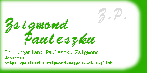 zsigmond pauleszku business card